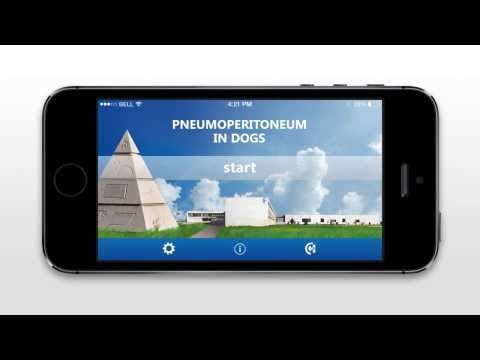 Pneumoperitoneum in dogs Video