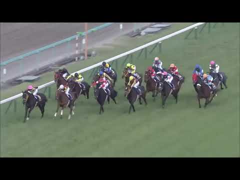 2018 桜花賞 (GⅠ) 直線