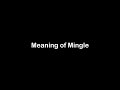 What is the Meaning of Mingle | Mingle Meaning with Example