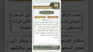 صورة 10017 - موضع نظر المصلي أثناء الركوع والجلوس للتشهد -  نور على الدرب