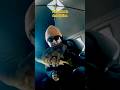 Video Thumbnail for Chasing perch #shorts#fishing