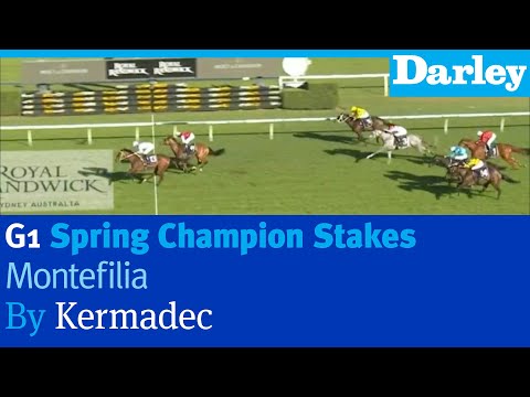 Montefilia by Kermadec wins the G1 Spring Champion S at Randwick
