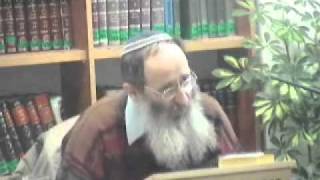 15113-1 כיצד נפלה האנושות?