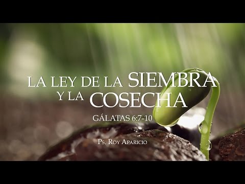 "The Law of Sowing and Reaping" Galatians 6:7-10 Ps. Roy Aparicio