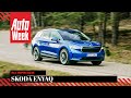 Skoda Enyaq iV – AutoWeek Review - English subtitles