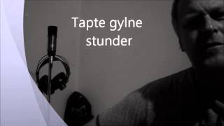 Tapte gylne stunder