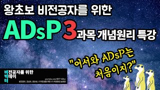 왕초보 비전공자를 위한 ADsP 3과목 개념원리 특강 | 미어캣 | adsp 독학 | 벼락치기