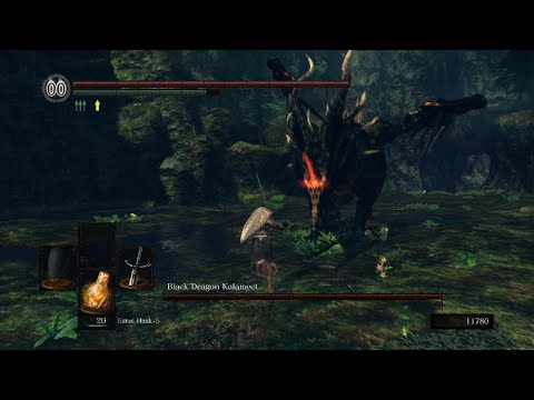 Black Dragon Kalameet is one of the best Souls dragon bosses