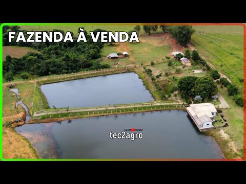 🌱 53 ALQUEIRES EM ITAPURANGA - FAZENDA À VENDA EM GOIÁS [🌱DUPLA APTIDÃO] #fazenda #tec2agro