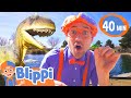 Blippi Visits A Dinosaur Exhibition BEST OF BLIPPI TOYS Educational Videos For Kids Dinosaurs