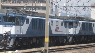 Naoki 657 のライブ ストリーム