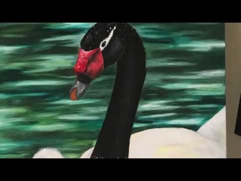 Jessica Tai CATAPULT 2019 - A Creative and Performance Arts Showcase