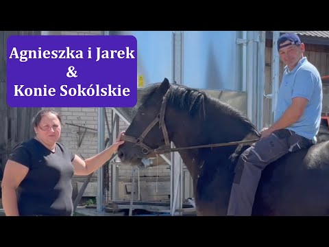 , title : 'Konie Sokólskie u Agnieszki i Jarka z Bronowa'