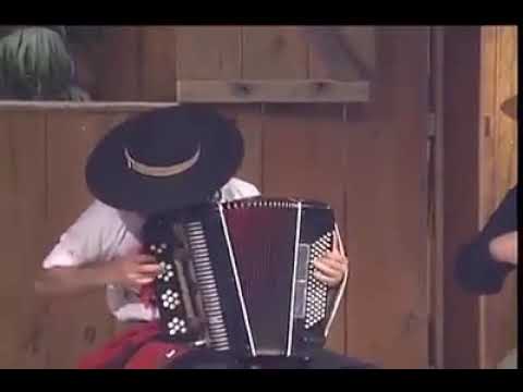 Walter Morais-De Gaúchos E Cavalos