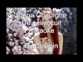 Elena Gheorghe - De neinlocuit . Karaoke .( cu ...
