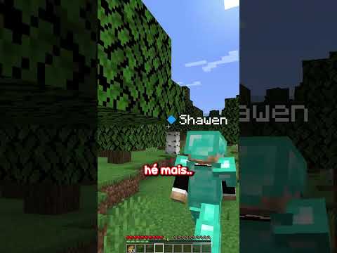 this minecraft video ends if..