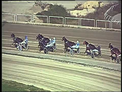 Trotto 22/12/2015 - prova di qualifica