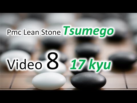 DDK Go Training with PmcLeanStone (17Kyu) E8 DDK vs Tsumego Pro