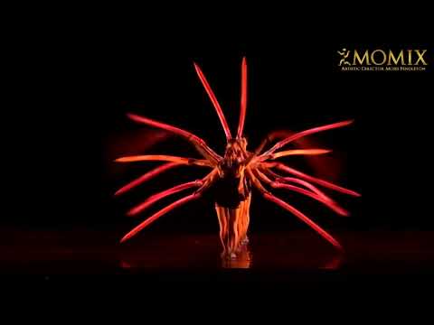 #MOMIX 2025  #Spettacolo #Teatro #Danza