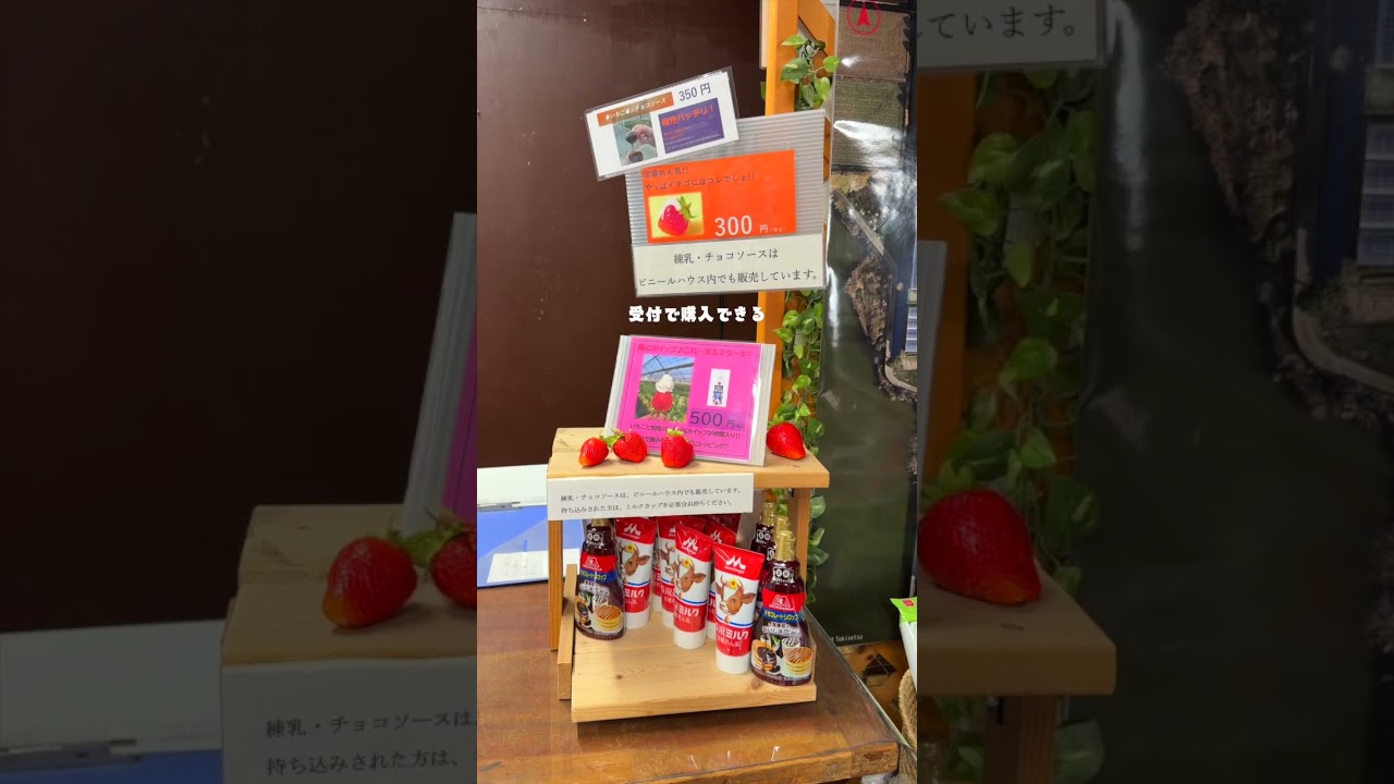 【愛知・観光】デートにおすすめ！60分間食べ放題のトッピング持ち込み自由のイチゴ狩りへ行ってきた！！