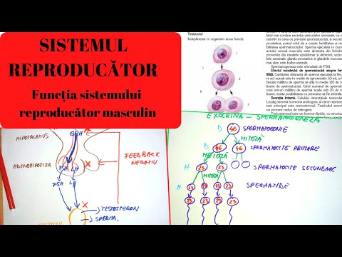 Verificați vederea pentru 100