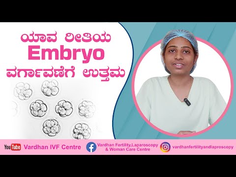 ಯಾವ ರೀತಿಯ Embryo  ವರ್ಗಾವಣೆಗೆ ಉತ್ತಮ | Embryo Transfer | Fresh vs. Frozen | Day 3 vs. Blastocyst