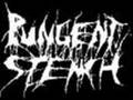 Why Can The Bodies by Fly Pungent Stench 