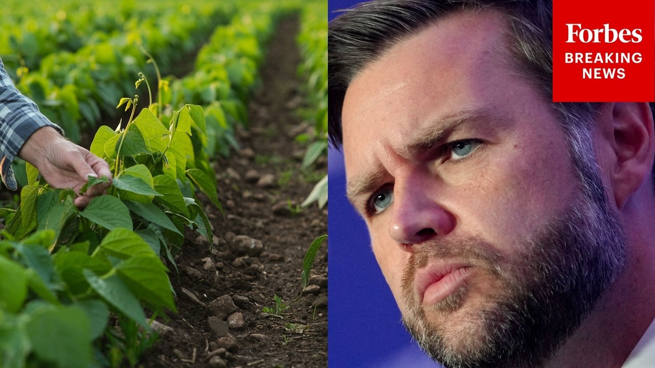 Video | Vice President JD Vance Asked About Proposal For Iran To Buy Soy From US Farmers
