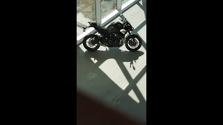 Download lagu THE FACE OF SUGOMI. mp3