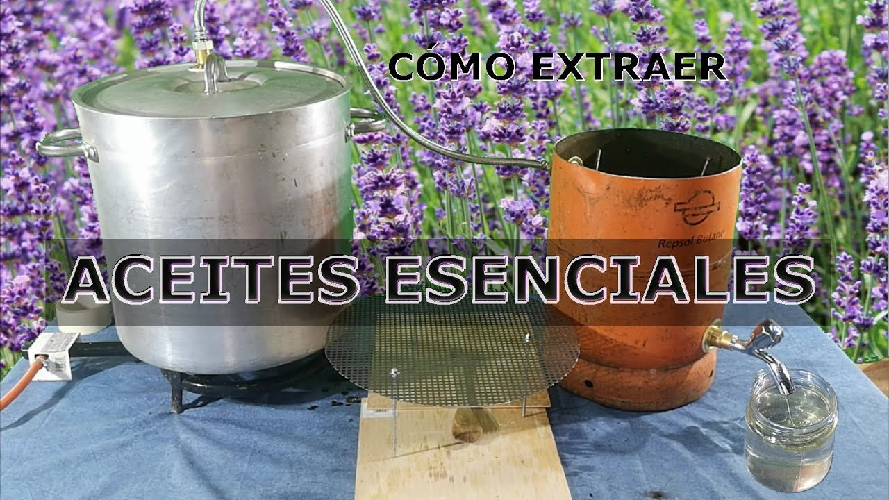 Cómo extraer ACEITES ESENCIALES 👍👍