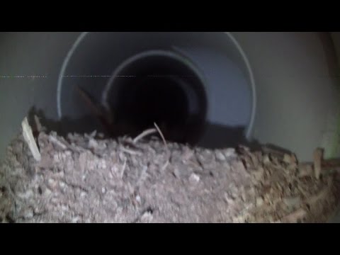 The Woodpecker Ep 103 - Cleaning the dust collector pipes