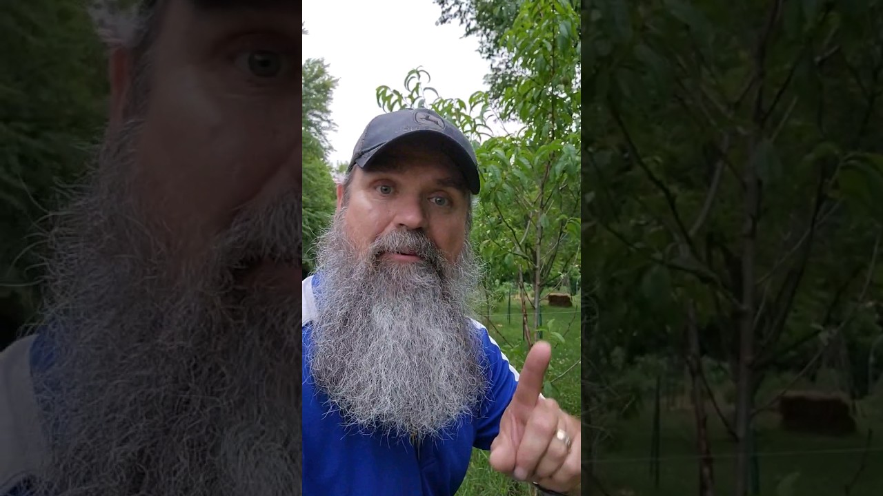 Deer-proofing your plants can't be this easy! (but it is)