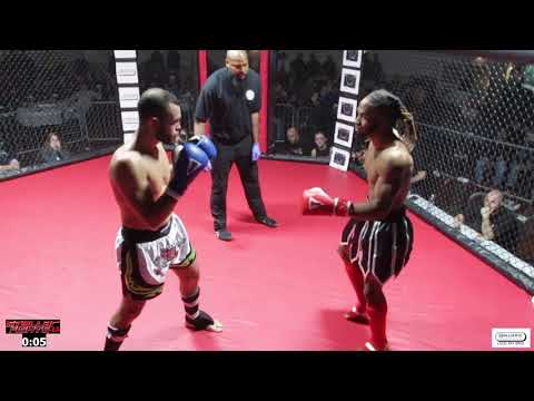 Stellar Fights 45 - Rosendo Leyva v Trevahn Stephens - Kickboxing