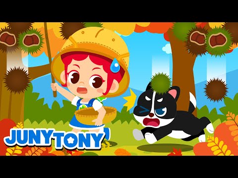 Otoño Está Aquí | Bienvenido Otoño | Las Estaciones | Canciones Infantiles | JunyTony en español