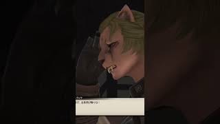 ファイナルファンタジー１４「レベル９０帯１９９－４」