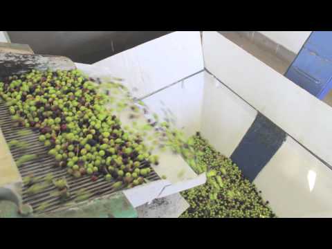 olio capparelli   1080p