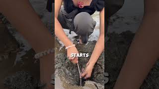 Download lagu She Eat Worm mp3 Download lagu She Eat Worm mp3