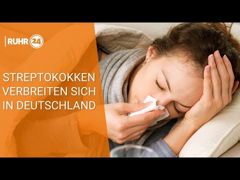 Streptokokken verbreiten sich in Deutschland
