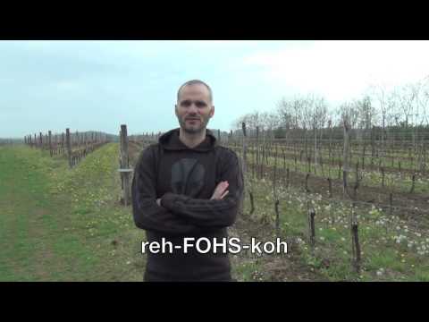 Refosco as spoken by Simone Sechi