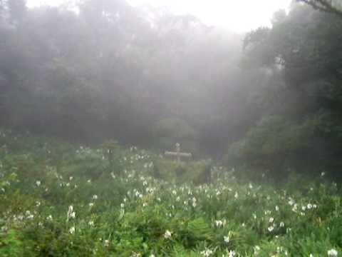 BEST SCENIC TRAIN RIDE IN BRAZIL - THE CURITIBA TO MORRETES TRAIN