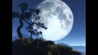 3rd Force ft Rick Braun - In The Full Moonlight *k-kat jazz café*