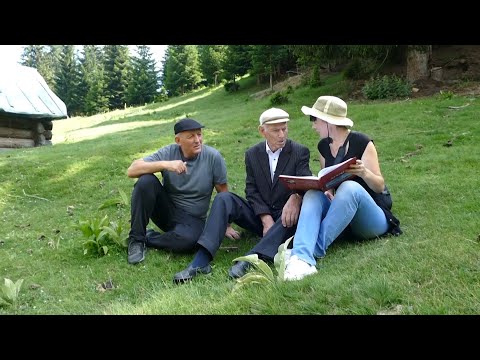 Fundjava e fundit në BJESHKËT E ISNIQIT…💔🌲 - Reportazh