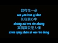 梅艳芳 Anita Mui 女人花 Woman Flower Simplified 简体 Chinese Pin Yin 拼音 Lyrics