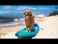 My Dog Rents An Oceanfront Beach House WE GOT FLOODED