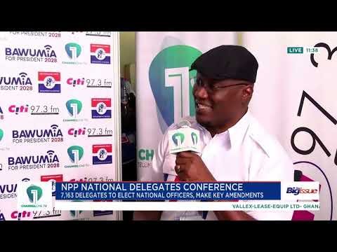 “NPP Must Evolve With Changing Circumstances” — Nana Ayew Afriyie on Flagbearer as Leader