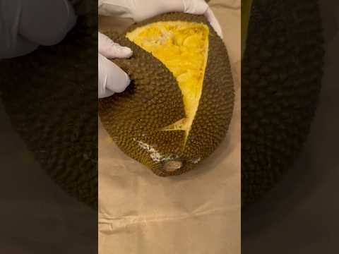 How to cut jackfruit easily #shorts #shortsvideo #youtubeshorts​⁠ @SYEFAZ