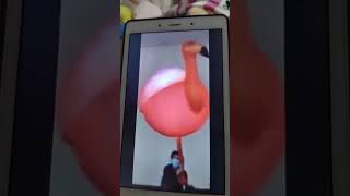 flamingo sounds effect giant pink bird 🦩