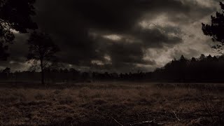 Cover art for Worlds a fuck