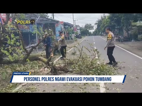 PERSONEL POLRES NGAWI EVAKUASI POHON TUMBANG