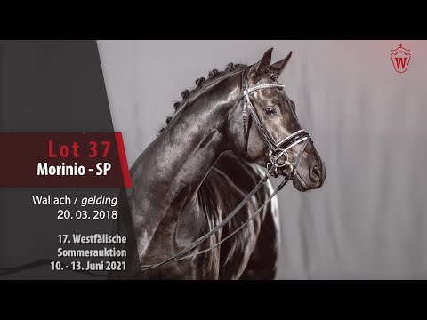 Westfälische Sommer-Auktion Lot 37 Morinio - SP Wallach v. Morricone I - For Romance I